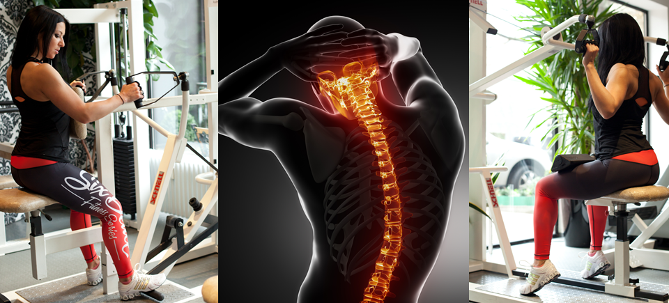 Rückentraining, Wirbelsäule, Muskelaufbau, gezieltes Rückentraining, Rückenschmerzen, Prävention
