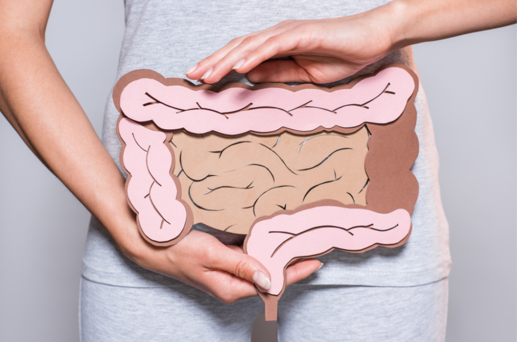 Frau hält Darmskizze vor ihren Bauch symbolisch für Probiotika