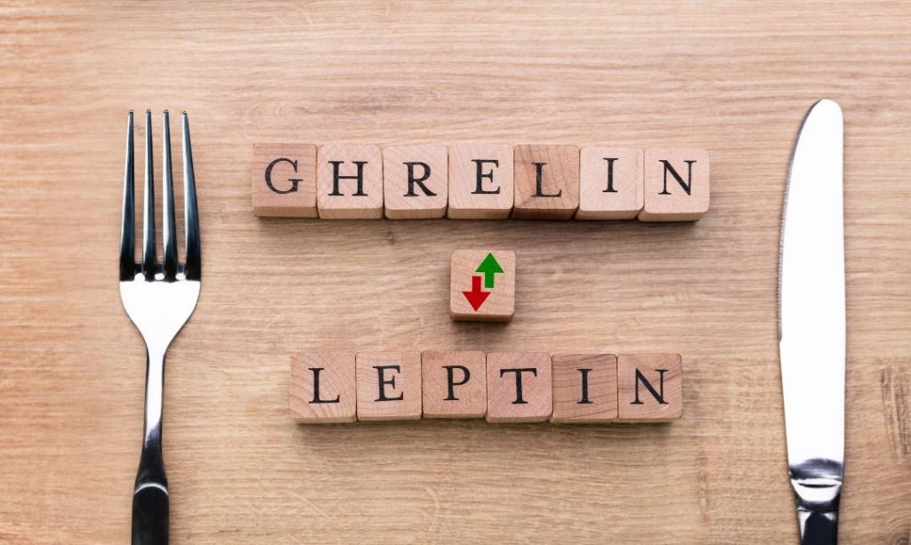 Hungerhormon Ghrelin und Gegenspieler Leptin am Esstisch aufgemalt