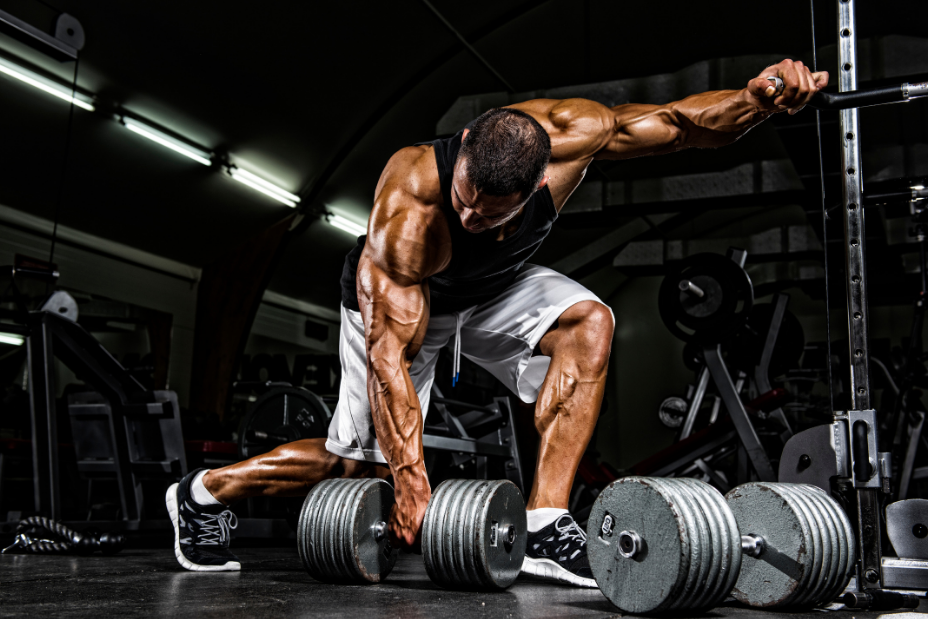 PITT Force Training dargestellt von Bodybuilder mit schweren Kurzhanteln
